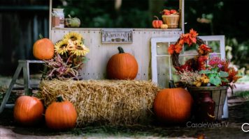 Casale Monferrato, Halloween tra parate e musical per bambini e famiglie