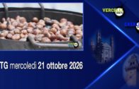 TG – Giovedì 8 ottobre 2026